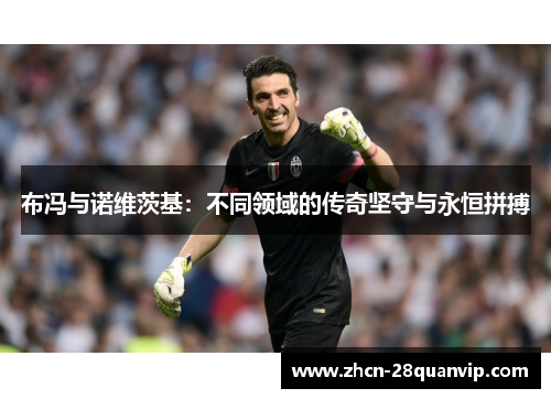 布冯与诺维茨基：不同领域的传奇坚守与永恒拼搏