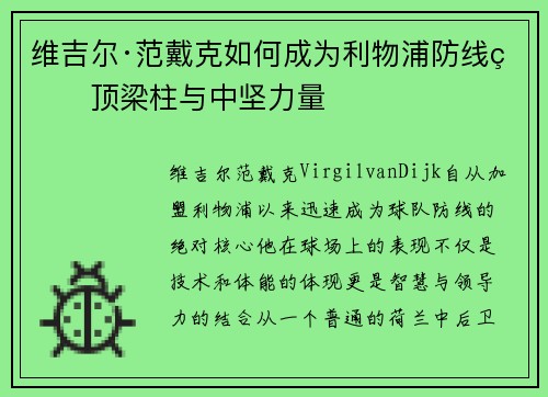 维吉尔·范戴克如何成为利物浦防线的顶梁柱与中坚力量